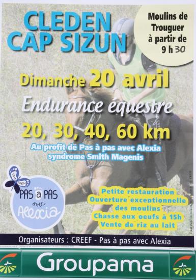 Affiche endurance 2014