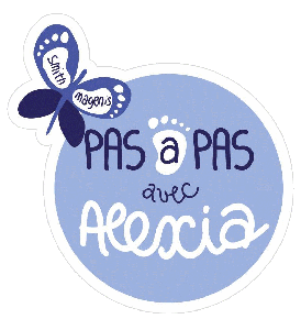 Logo lisere plus petit transaprent